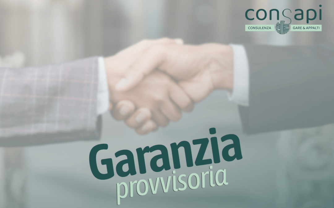 Garanzia provvisoria: Definizione, Applicazione e Soccorso istruttorio