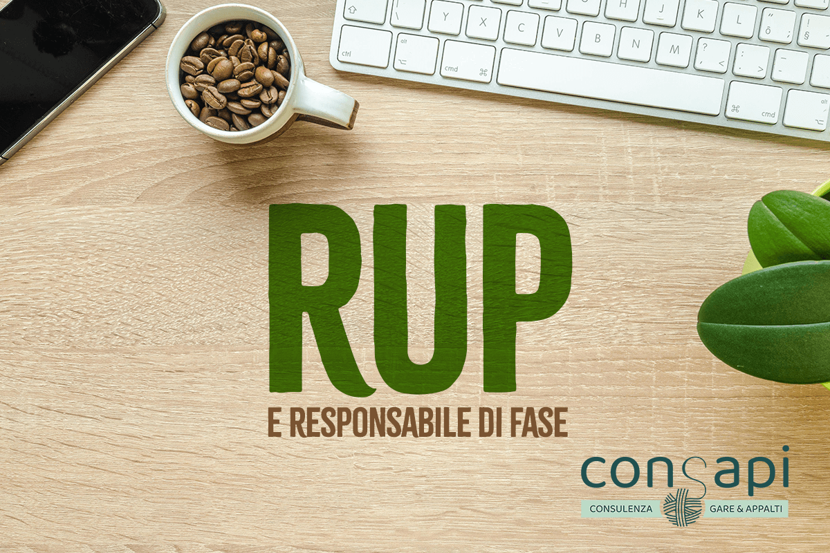 Differenza Tra Rup E Responsabile Del Procedimento RUP e Responsabile di Fase: focus sui nuovi Responsabili del